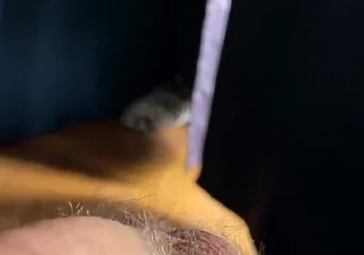 Cum with Tim Blesh