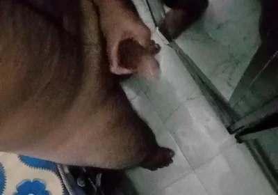 Oiling my big dick in the bedroom and masturbating Infront of mirror