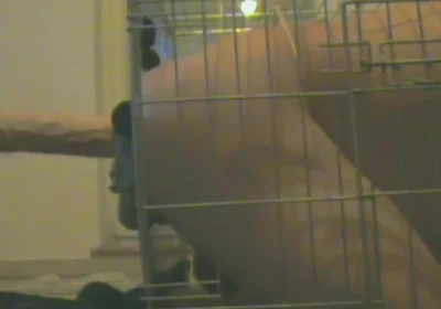 Slave in Cage Gets Anal Used
