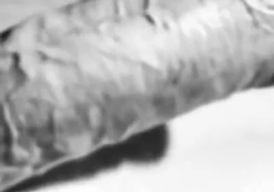 Revealing My Big White Hard Cock