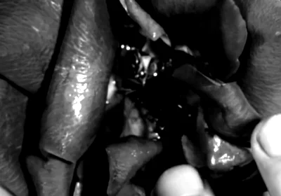 Hand Fetish - My Hands Destroying Flowers and Fruit