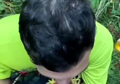 Two Males of Large Piroca Making Blows in the Forest.