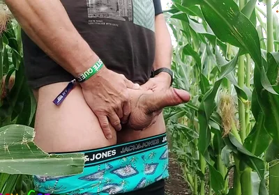 Dirty Jerking off My Big Cob in the Cornfield, Showing My Asshole and Squirting Cream on a Leaf.