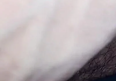 Sexy Video India Boy