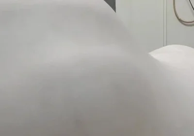 Ass Verticalargument4