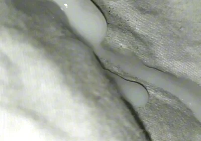Huge Sperms Out of His Penis, an Young Boy