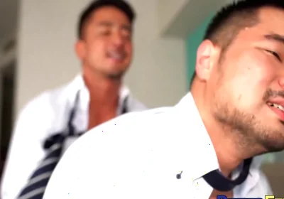 Peter Fever In Asian Suit Studs