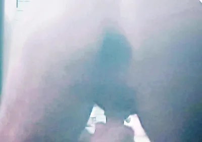 Garden Nudity and Masturbation with a Buttplug in Me