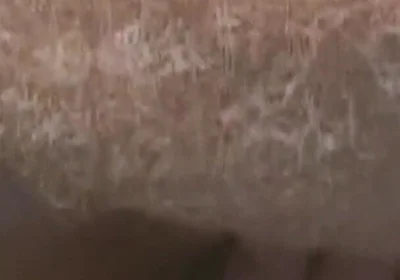 Guys Want Dicks_ Scene-2_muscular Guys Fuck Each Other's Asses in the Gym