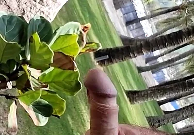 Public Beach Cock Flash