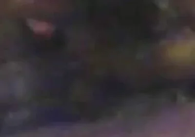 Thought was cowboy, But wrong Branco