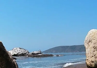 Sexy Time at the Nude Beach at Pirates Cove!