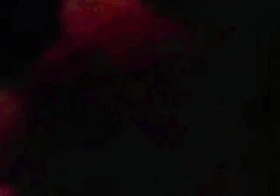 Goon Sucking Uncut Cock at the Park