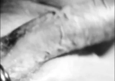 Unleashing My Hard Cock!