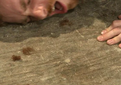 The Official Greeting of the Dom of the House