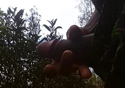 Solo Outside