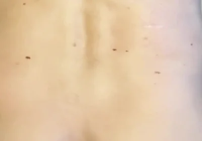 Quick Fuck with Steve