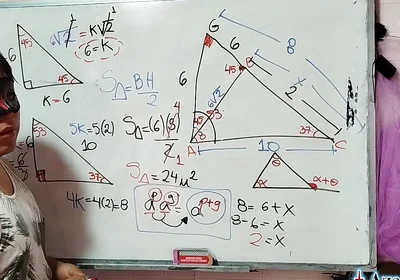 14 the Pleasure of the Triangle in Your X