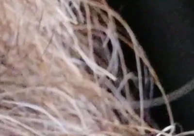 Kissing, Spitting on and Fucking My Stunt Mouth