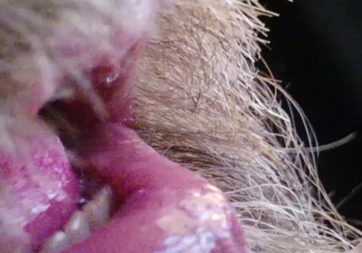 Kissing, Spitting on and Fucking My Stunt Mouth