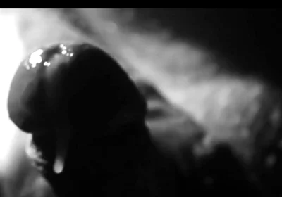 Close up on Me Cumming