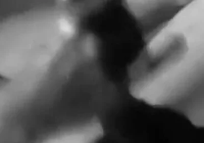 4288086234.mp4