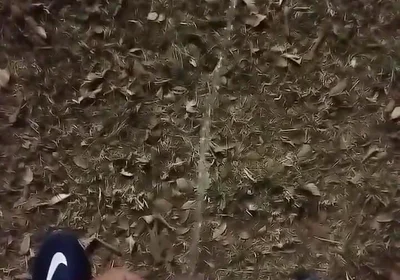 Outdoor Sex, of All Sexualities, Is Now Allowed in My Condominium