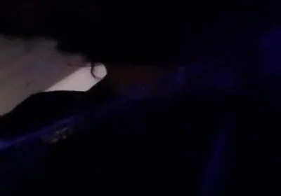 I'd Like You to Touch My Balls & Penis