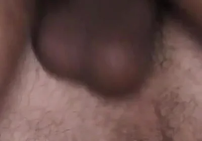 Breeding in Milan - with Bo Bailey and Will Hose