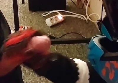 Motocross Guy Jerks off After Sex to His Partner