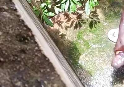 BBC Creampies on the Floor