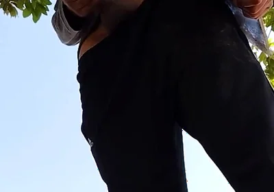 A Normal Day in the Park