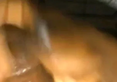 Solo Dick Massage Intense Cumshot