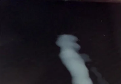 What Does Sperm Experience in Slow Motion?