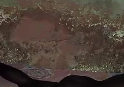 Nothing Bad Fucking Your Bed in Midnight