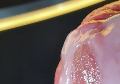 Wet Penis Gets Masturbated