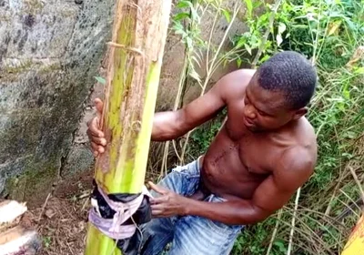 F*** Your Health Dick Out of the Cook