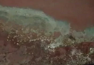 The Dark View of African Black Guy's Masturbation