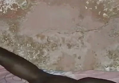 Pounding My Bed with My Dick