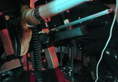 Rubber Discipline Revenge