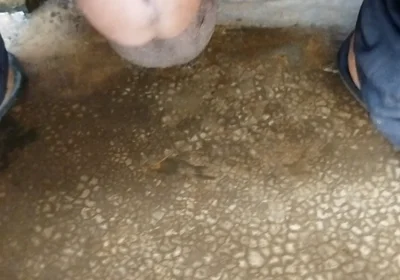 Boy Masterbeson Fully Satisfied with You Interested in Video