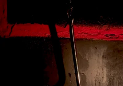 Something Interesting From the Darkness...