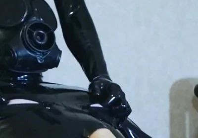 Gimp Programming (hotel Collection)