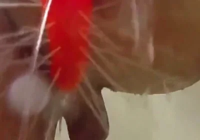 Using a Shower Spray Dildo