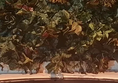 Bath Time Challenge - Bear Control in the Tub