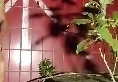 Breastfeeding Stranger on the Street