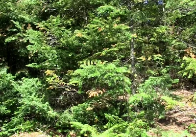 An Outdoor Cum Eruption!