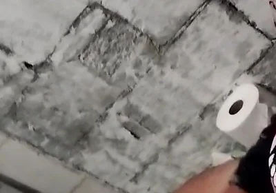 I Come to the Bathroom Because I Need to Pull It