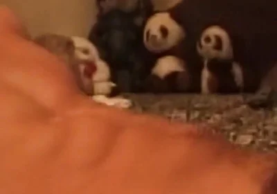 Throbbing Cock Deepthroat Gagging Till Drooling Mess