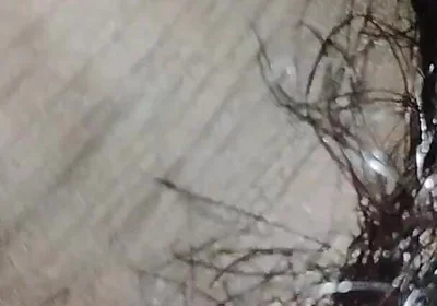 Indian Desi Boy Penis